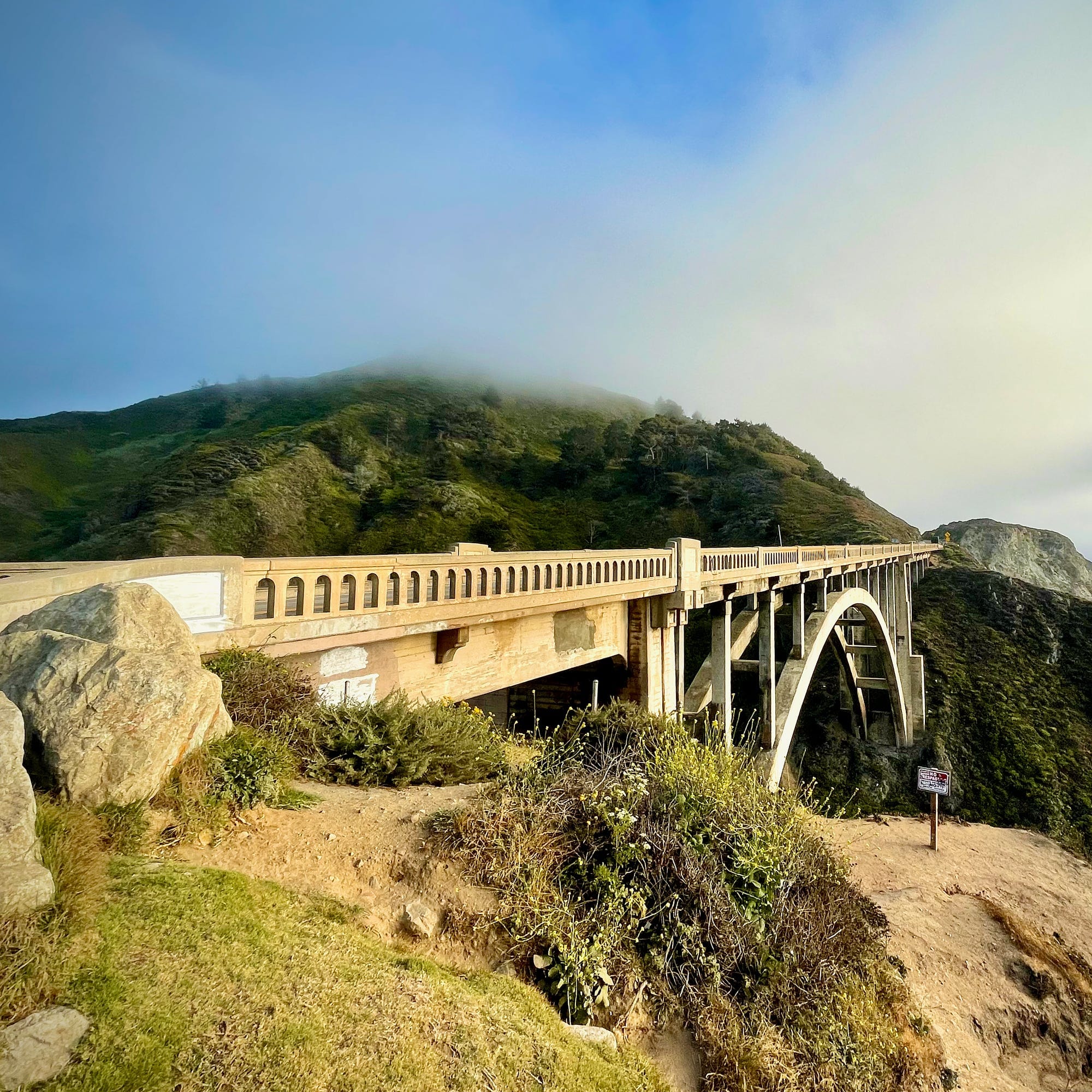 Strategies for Navigating the Emotional Rollercoaster of ADHD